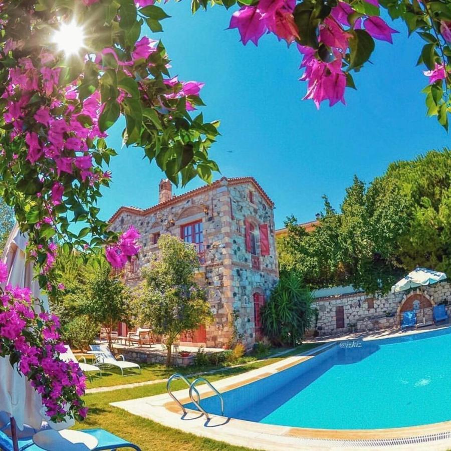 Alacati Zeytin Konak Hotel Zewnętrze zdjęcie