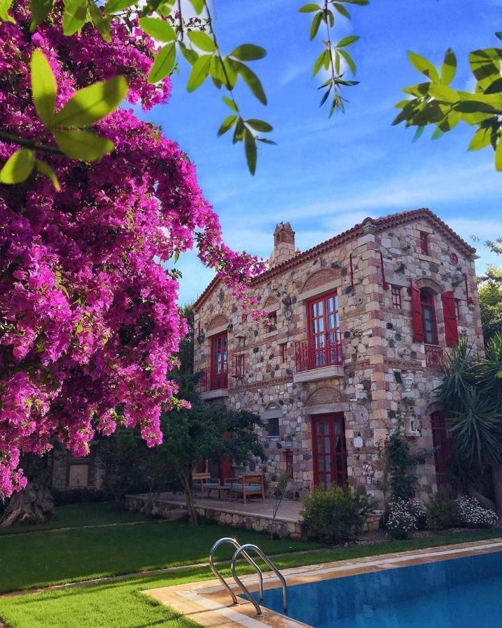 Alacati Zeytin Konak Hotel Zewnętrze zdjęcie