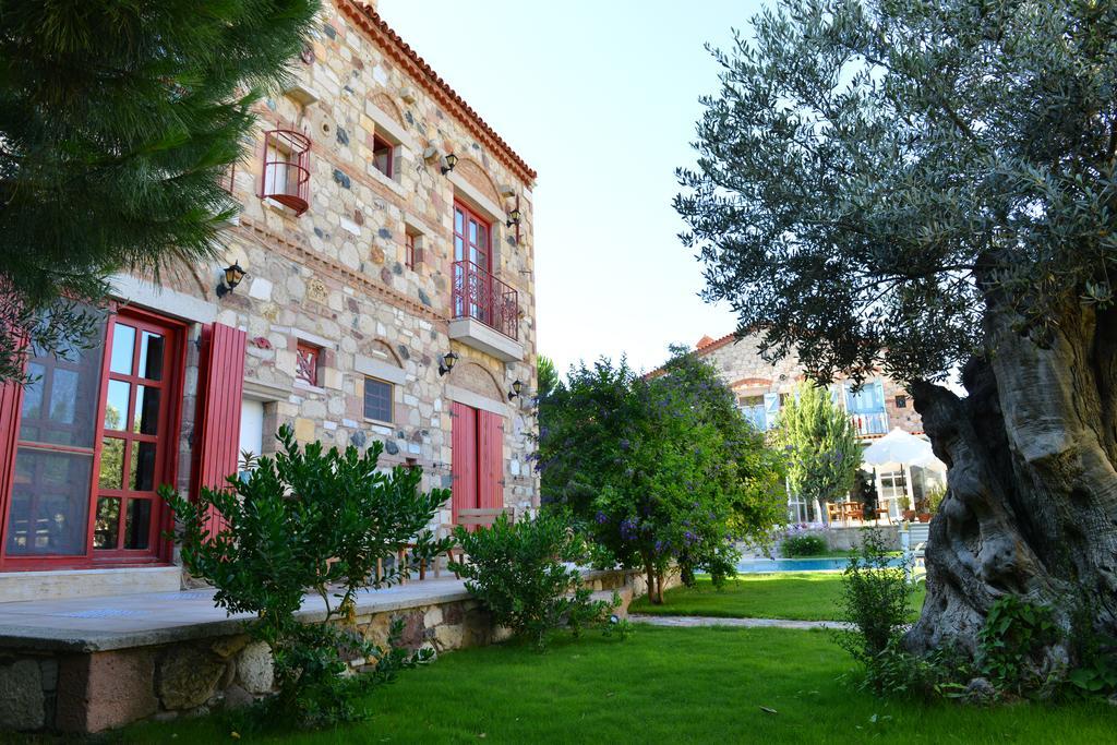 Alacati Zeytin Konak Hotel Zewnętrze zdjęcie